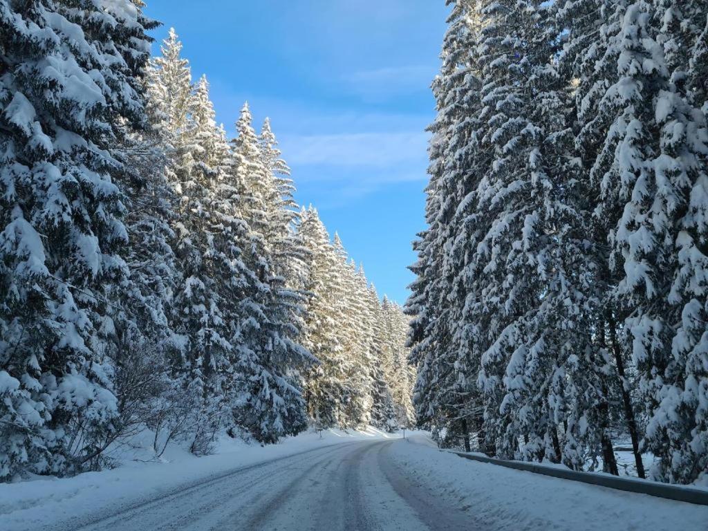 Chalet-Beskydy Prostřední Bečva Exteriér fotografie